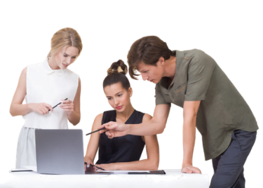 SEO Team